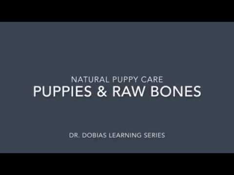 dr dobias raw feeding