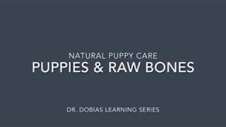Feeding Raw Bones to Dogs - Raw Bone Feeding | Dr. Peter Dobias