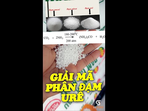 Video: Nước tiểu Trong Vườn - Thông tin về Phân bón Urê