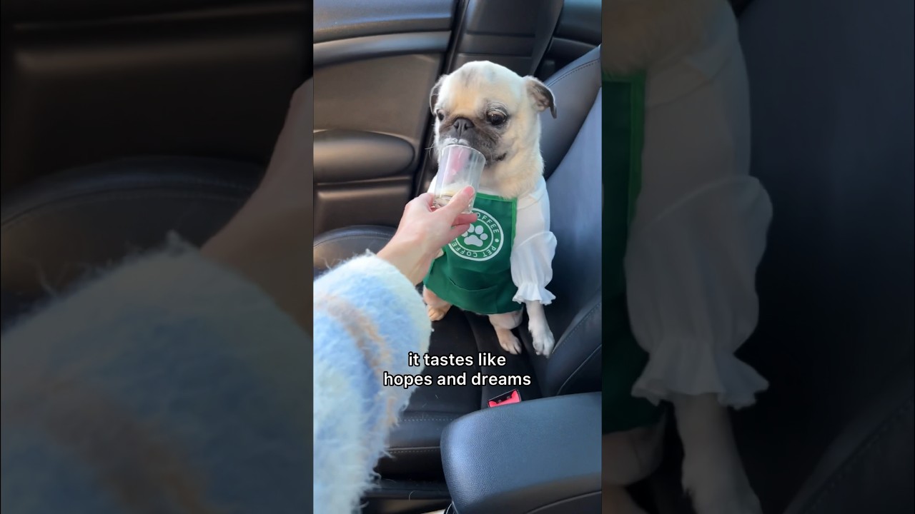 When COFFEE is ✨life✨ 