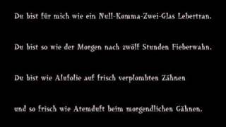 Wise Guys - Das Allerletzte(Lyrics)