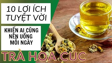 10 lợi ích tuyệt vời của trà hoa cúc khiến ai cũng nên uống đều đặn mỗi ngày | Thảo dược xanh số 1