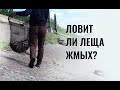 Ловит ли леща жмых? Плотва язь на семена. Где поймать леща в Казани