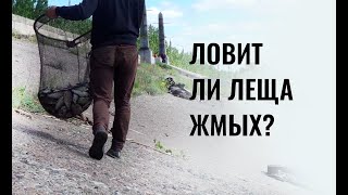 Ловит ли леща жмых? Плотва язь на семена. Где поймать леща в Казани