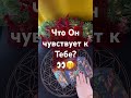 Что Он чувствует к Тебе?!👀🫢 #таро #мастертаро #tarot #таролог #shorts #short #таролюбовь #гадание
