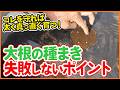 【大根栽培】太く長くまっすぐ育てる！種まきのポイントを解説【シェア畑】【農園ライフ】