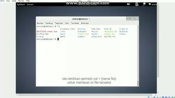 Pembahasan perintah dasar linux : cat #tkjsmkn1cmi