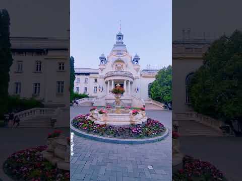 De Meest Winstgevende Online Casino Spelen in België: Ontdek Onze Top Casinia Games