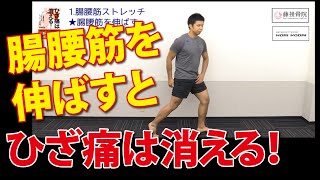 ひざ痛は腸腰筋ストレッチで消える？！