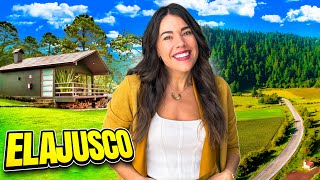 INCREÍBLE HOTEL en el AJUSCO con CENA ROMÁNTICA | MÉXICO | 4K