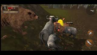 Wild Bears 🐻 Vs Buffalos 🦬 Big Fight Ep.2 screenshot 4