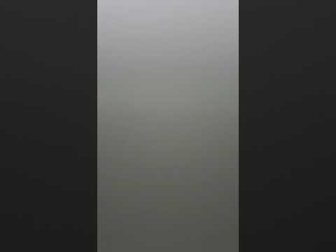 나 오직 주를 생목라이브.