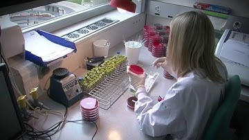 Antimicrobial resistance: a global health issue