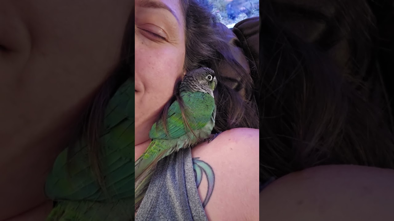 Growing up Sweet Pea!