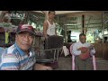 Asian Hero Bo Aung San / Ensemble Insein