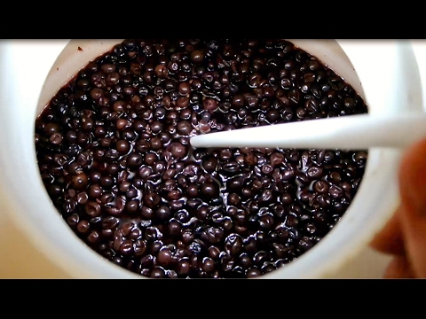 הכנת יין ביתי - סינון וטעימה ביניים של היין מענבי מרלו וקריניאן