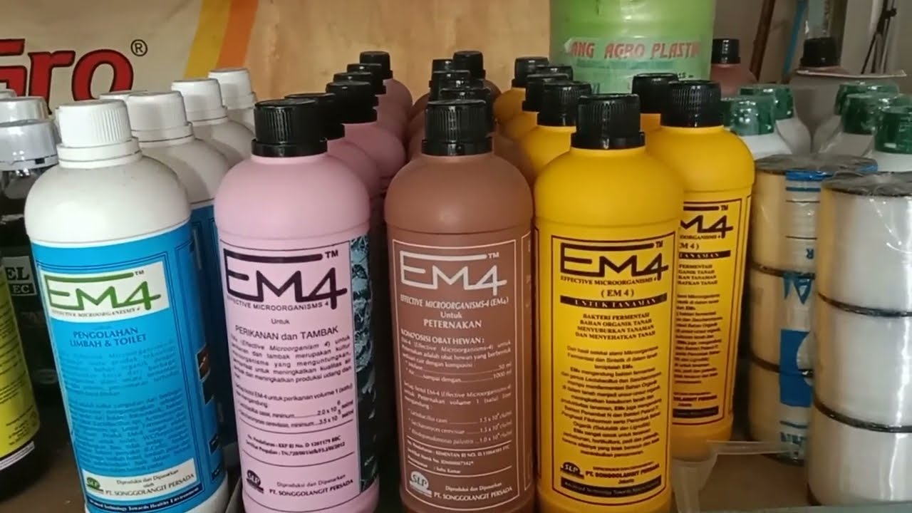 REVIEW KEGUNAAN EM4 / PERBEDAAN EM4 / JENIS JENIS EM4 PERTANIAN ...