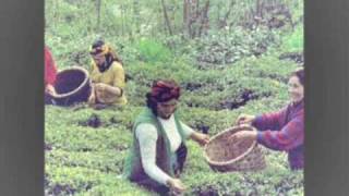 15 Kemençe Çay Elinden Öteye Savaş Yakupoğlu