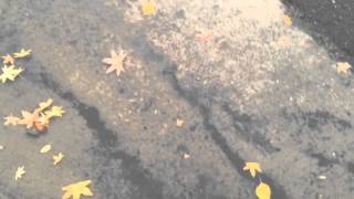 Hard Rain Falls On Northwest Fresno