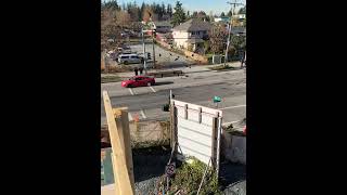 Man Entices Crows with Peanuts From Moving Car