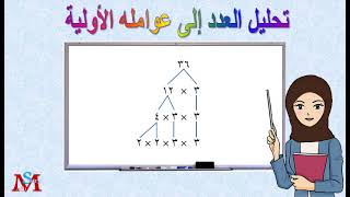 تحليل العدد إلى عوامله الأولية: الشرح مع الأمثلة والتدريبات/ الصف السادس