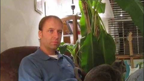 Memory Loss or Amnesia After a Possible Seizure