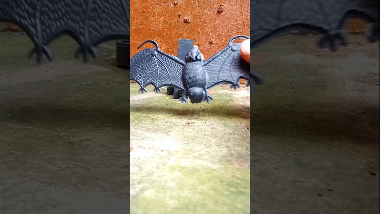 The bat is calling its friend 