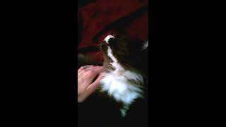 VID_20140614_202520.mp4