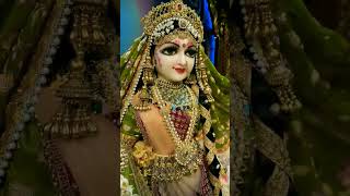राधा नाम पुकार 🦚🙏🌺#radha #radharani #shorts #viral #jay #trending #radheradhe #ytshorts