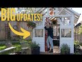 you NEED a diy greenhouse....THIS IS WHY! 🌱 | Beginner Vegetable Gardening