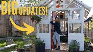 you NEED a diy greenhouse....THIS IS WHY! 🌱 | Beginner Vegetable Gardening