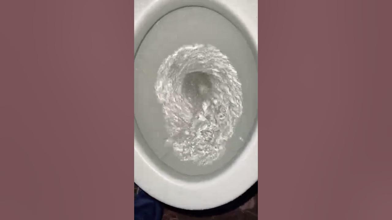 1950s Eljer Duplex Toilet! YouTube