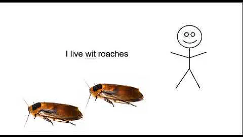 i live with roaches
