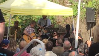 Chris Stamey "Something Came Over Me"