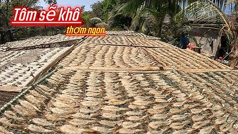Vào bờ làm tôm khô thơm ngon | Sóng biển Hứa Đông