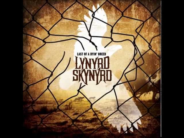 Lynyrd Skynyrd - Good Teacher