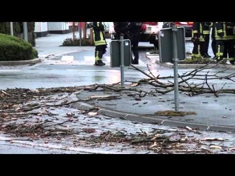 Sturm-News Baum fällt auf Kaiserstrasse 31 03 15