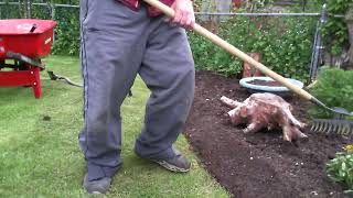 Gardening 101 - How To Raise A Garden Bed