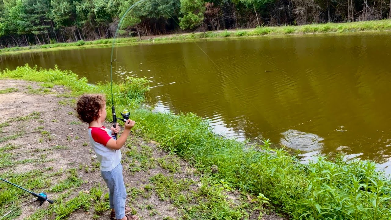 Brody catching Bream on rubber crickets YouTube