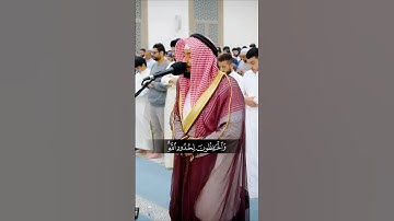 سورة التوبة - #احمد_النفيس