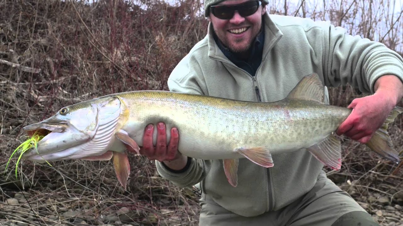 Streamer Junkies Cast to the Past YouTube