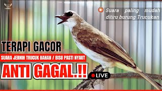 Download Lagu 🔴PANCINGAN TRUCUKAN SUSAH BUNYI!! TRUCUKAN GACOR ROPEL PANJANG BIKIN TRUCUK MANA PUN CEPAT BUNYI MP3