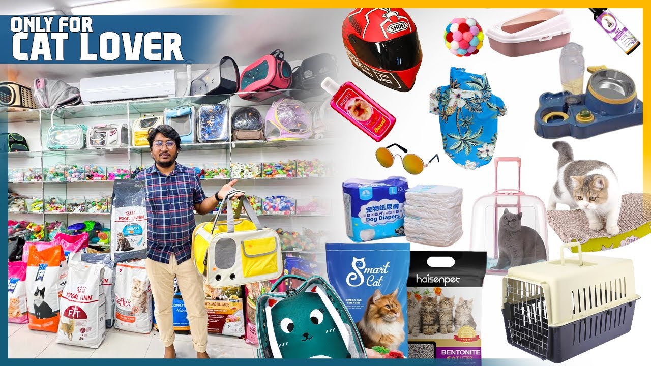 Cheapest Pet Food Shop For Cat Cat Food Wholesale Cat Accessories