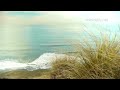 relaxdaily - Ocean Breeze (Light Music - easy music for studying, focus, write, spa, relaxation) Mp3 Song