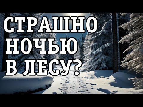Кто шумит ночью в лесу, да так, что становится жутко.