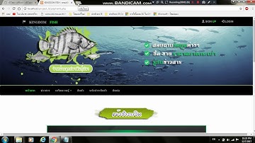 การโจมตี web site by shell c99   58011211147