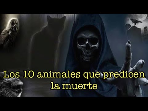 10 ANIMALES QUE PREDICEN LA MUERTE