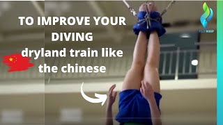 China Diving Workout Dryland Exercises - Chinese Divers workouts - 中国潜水员锻炼