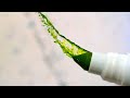 Spinning Ink out of Pens in Slow Motion - The Slow Mo Guys