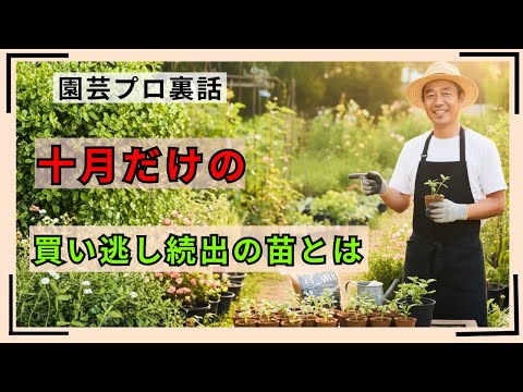 10月の庭仕事チェックリスト：春に咲く花を増やす冬越し準備のコツ